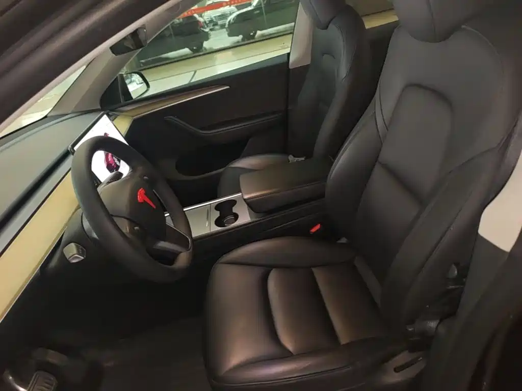 Tesla Model Y — фото 11