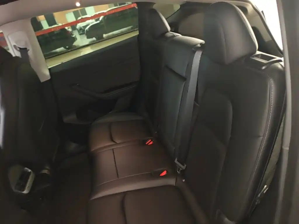 Tesla Model Y — фото 13