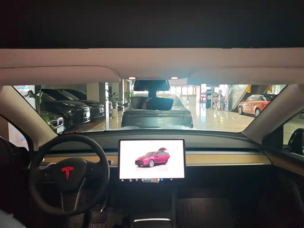 Tesla Model Y — фото 14