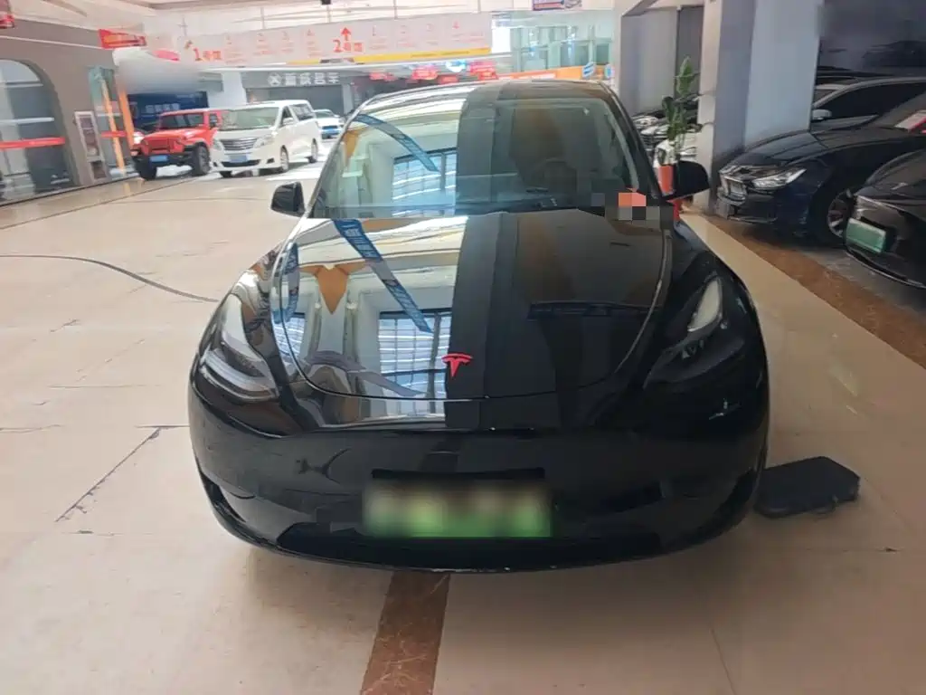 Tesla Model Y — фото 3