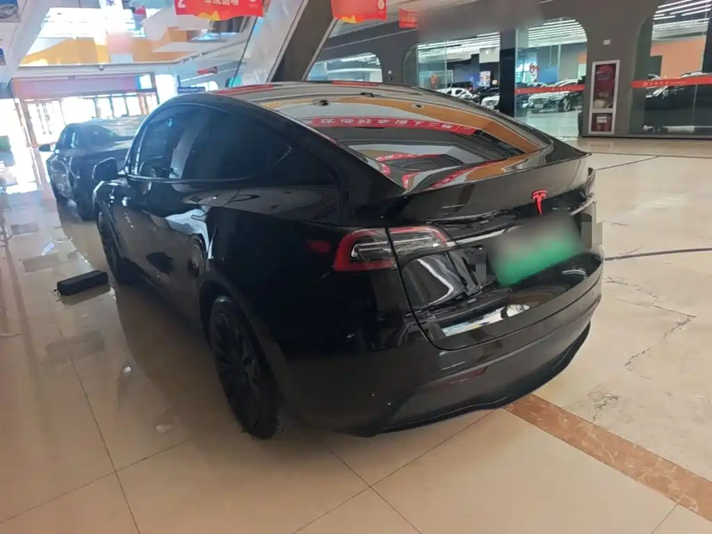 Tesla Model Y — фото 23