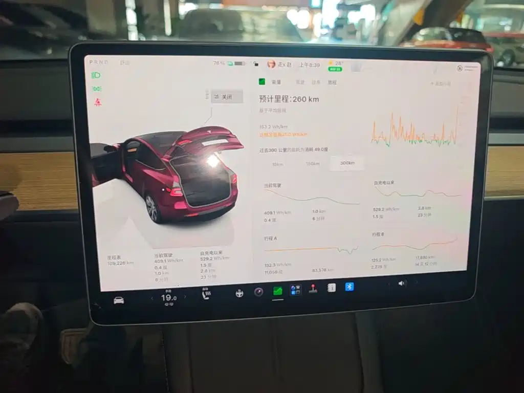 Tesla Model Y — фото 9