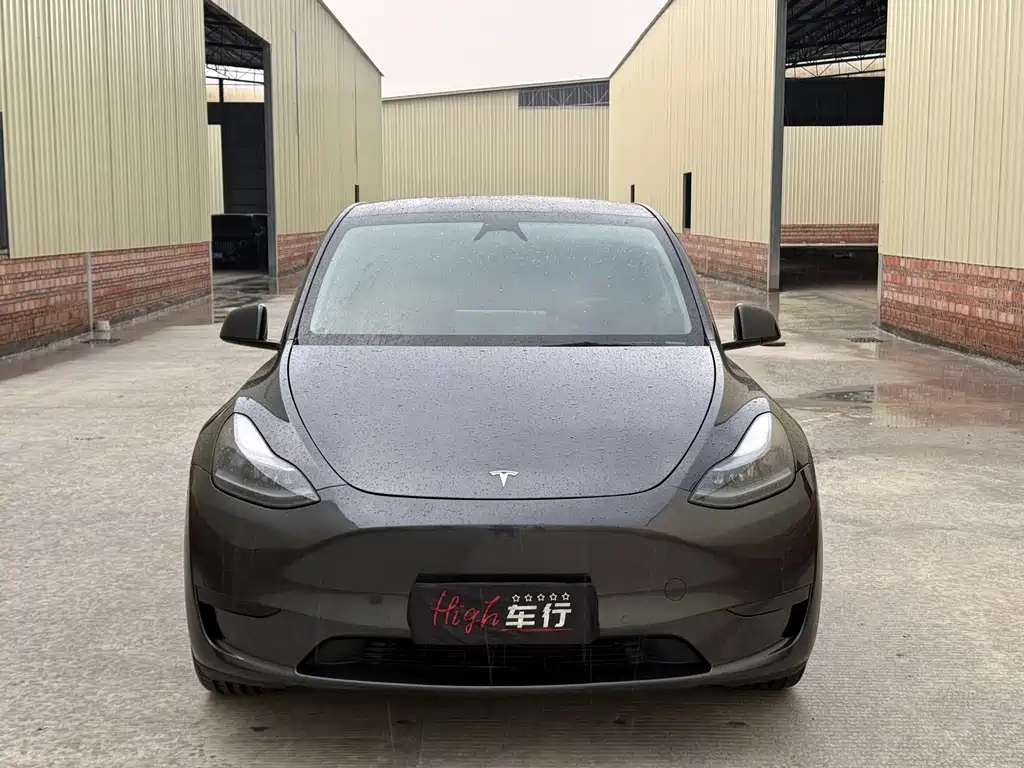 Tesla Model Y — фото 2