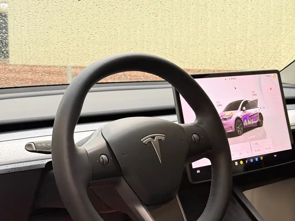 Tesla Model Y — фото 18