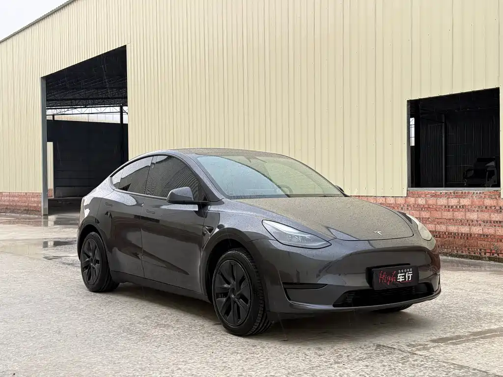 Tesla Model Y — фото 3