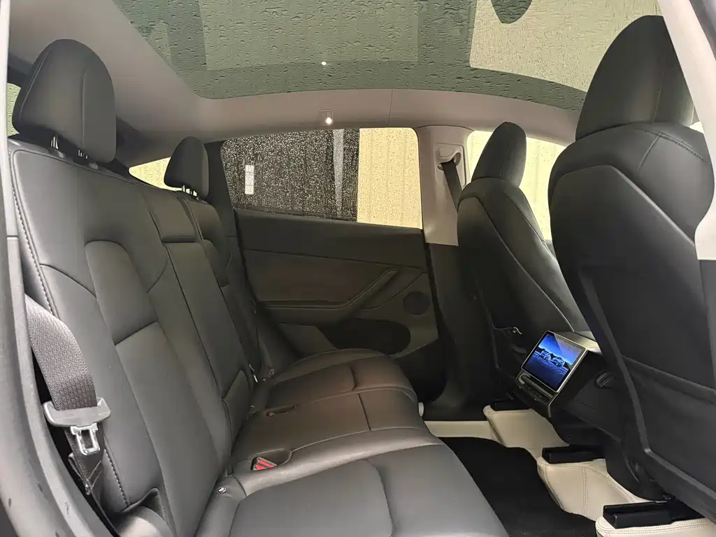 Tesla Model Y — фото 21