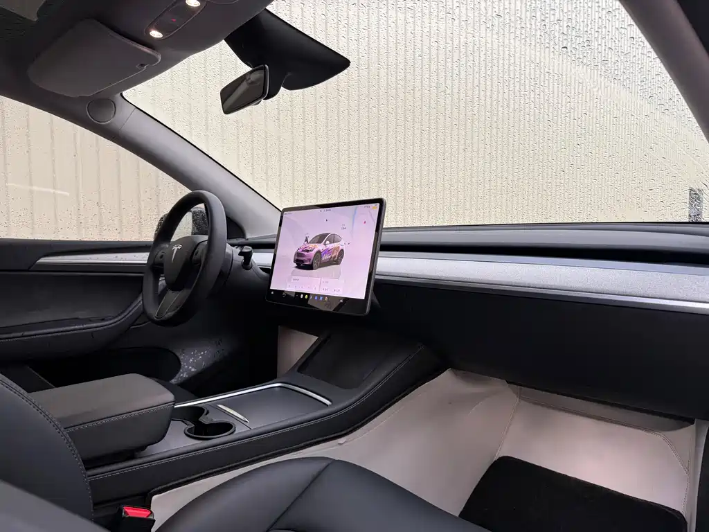 Tesla Model Y — фото 24