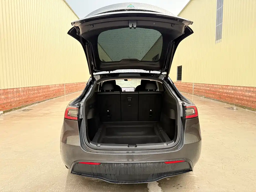 Tesla Model Y — фото 31
