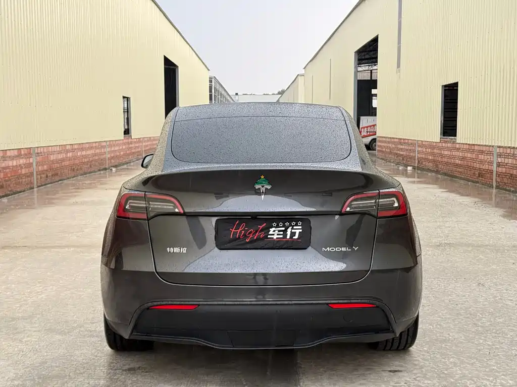 Tesla Model Y — фото 5
