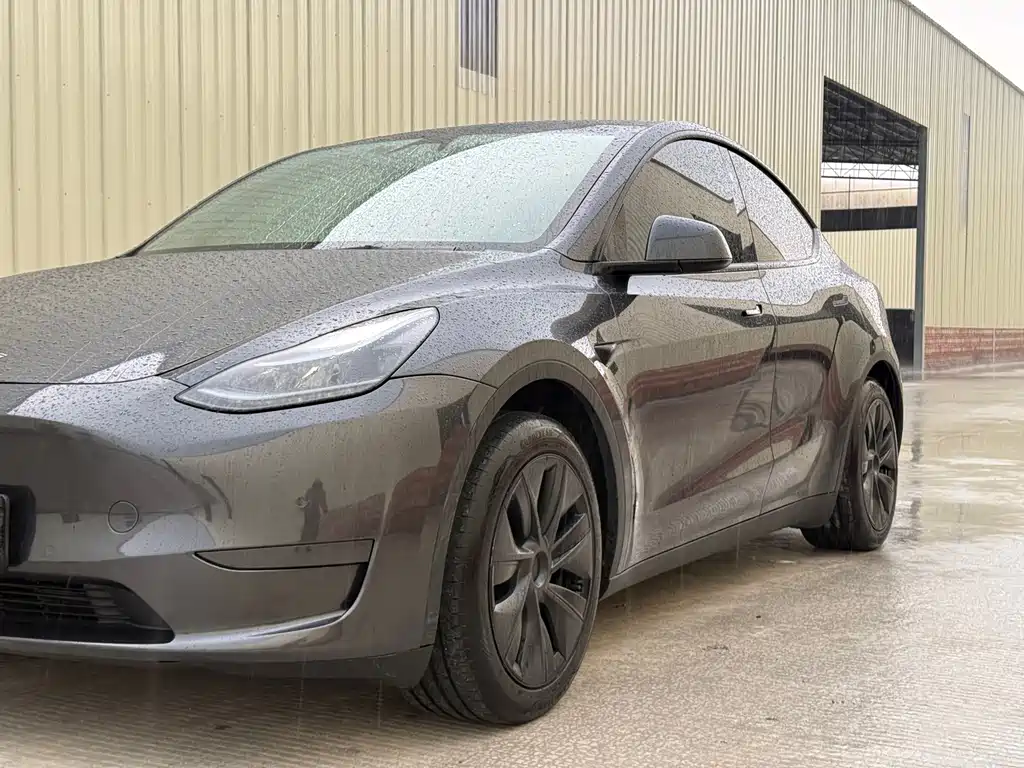 Tesla Model Y — фото 10