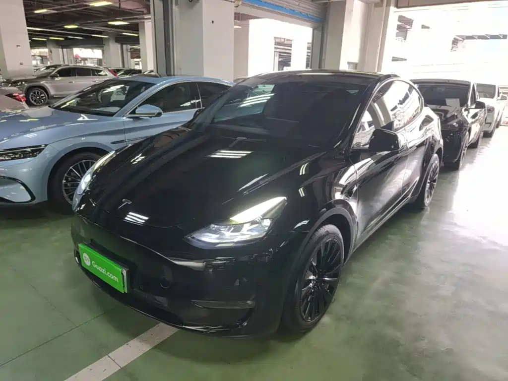 Tesla Model Y — фото 2