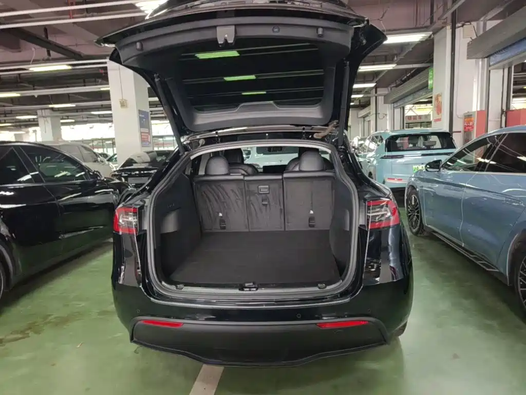 Tesla Model Y — фото 19