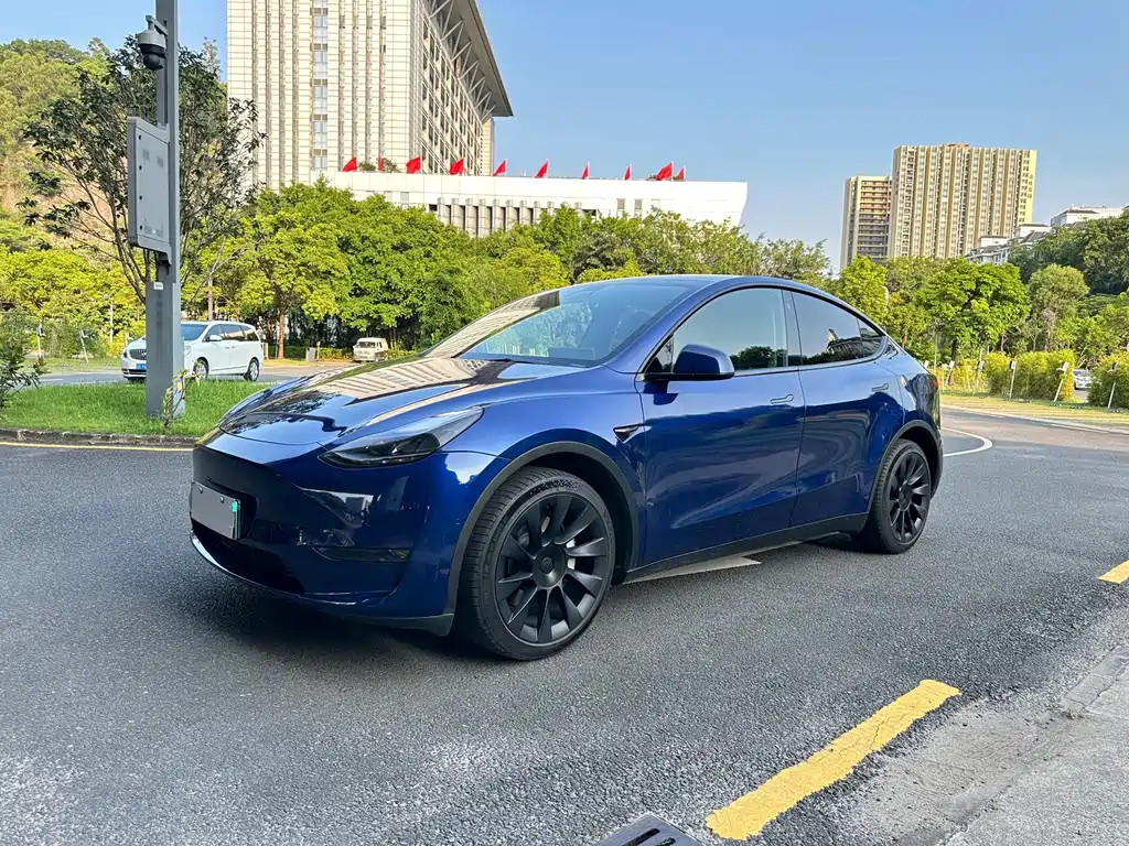 Tesla Model Y — фото 2
