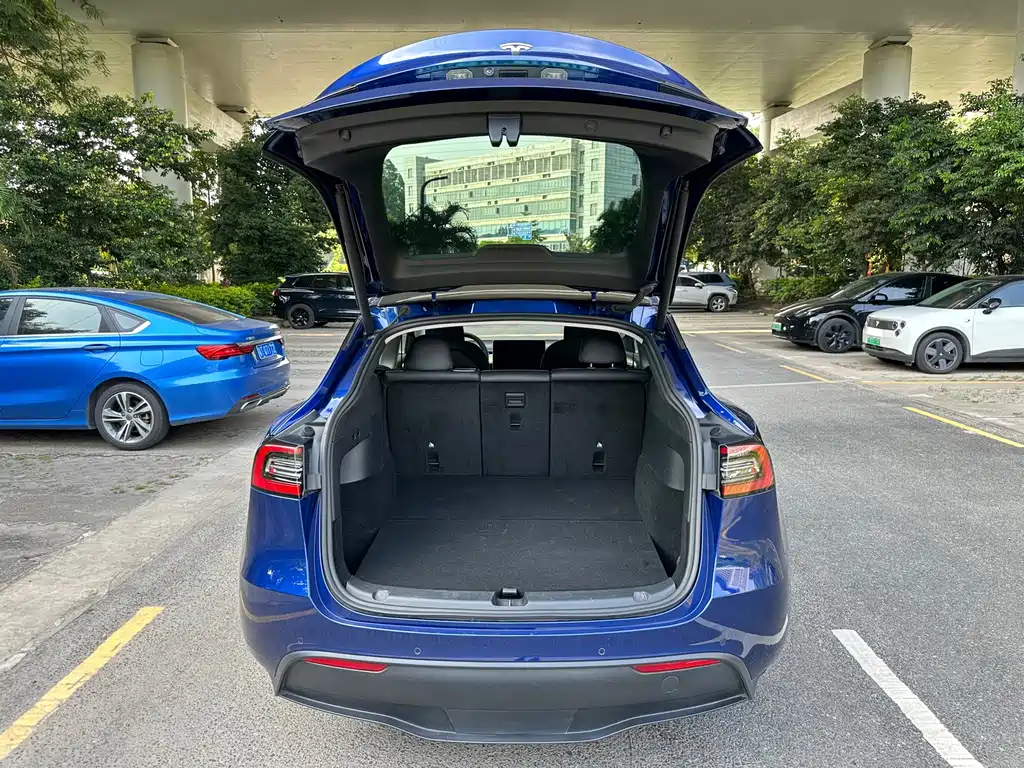 Tesla Model Y — фото 20