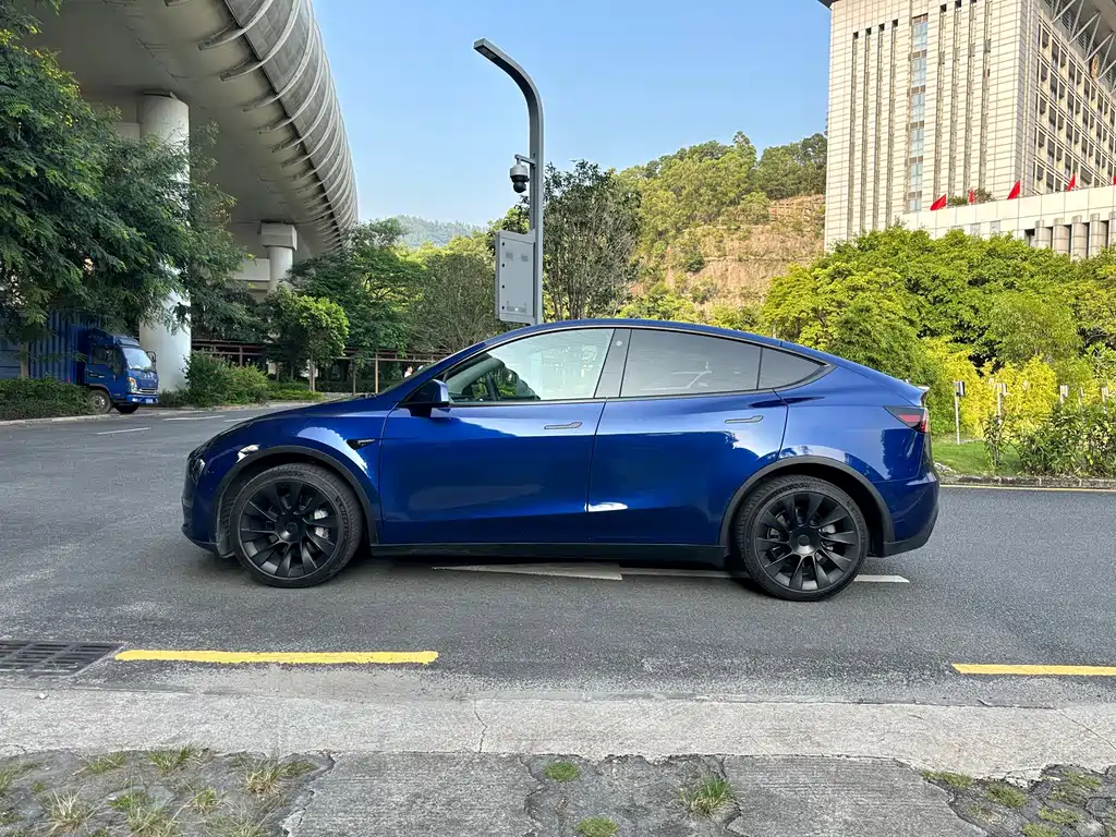 Tesla Model Y — фото 3