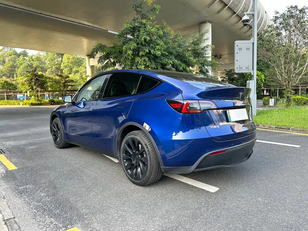 Tesla Model Y — фото 4