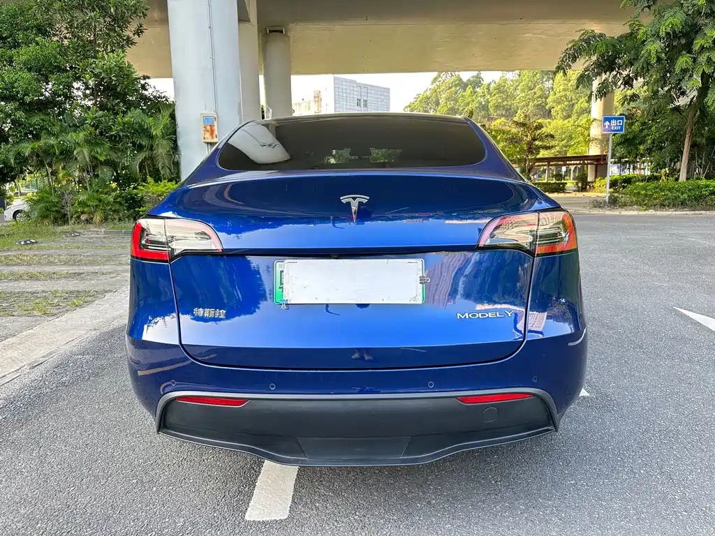 Tesla Model Y — фото 5