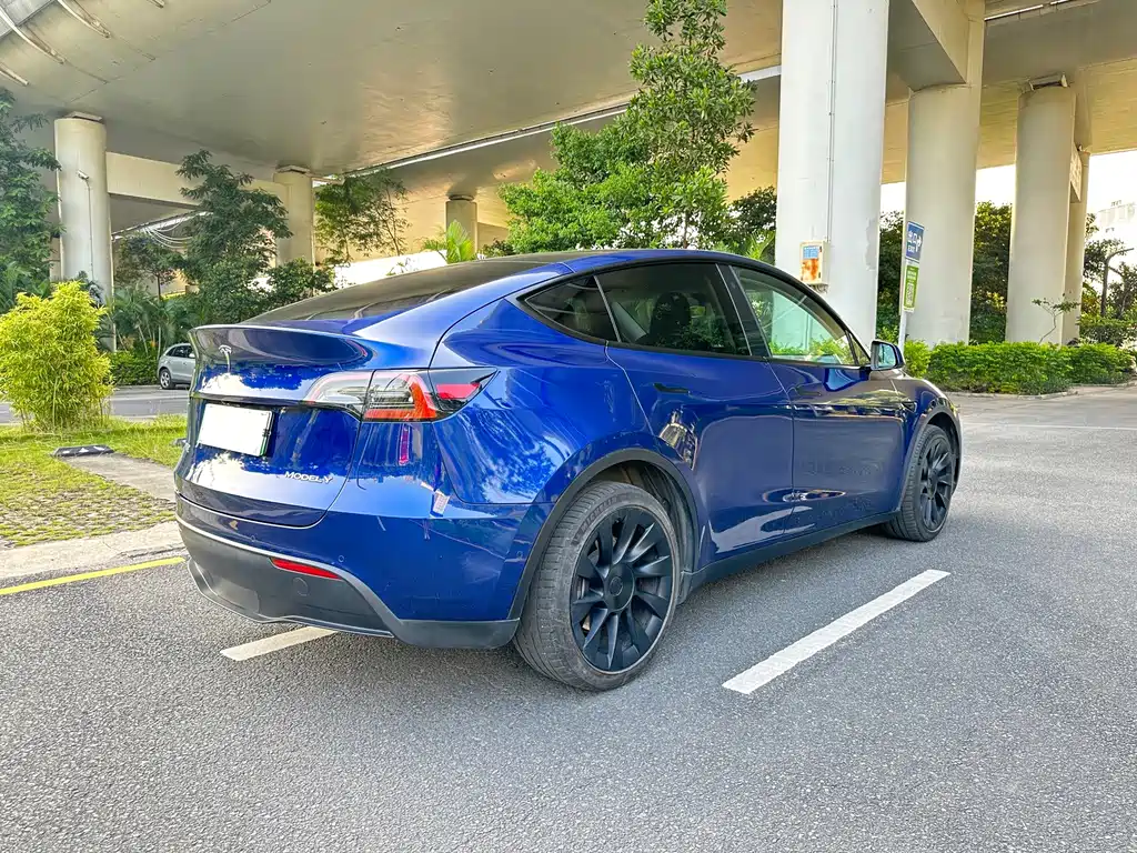 Tesla Model Y — фото 6