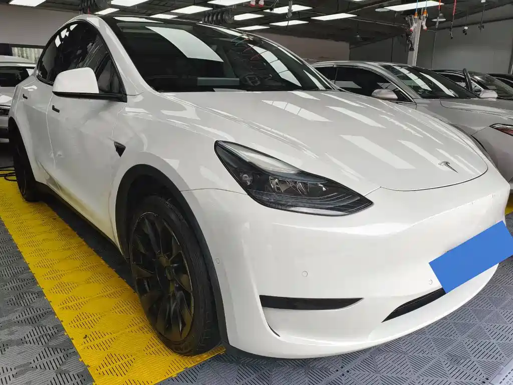 Tesla Model Y — фото 3