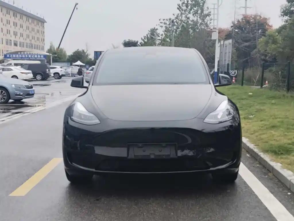Tesla Model Y — фото 2