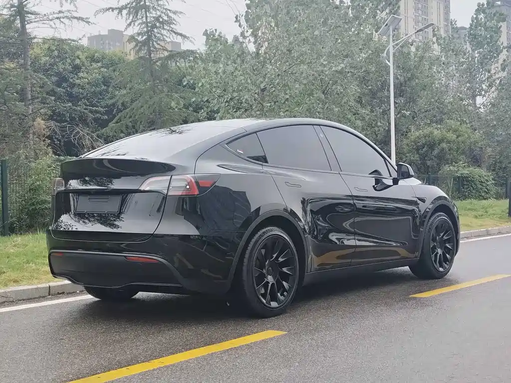 Tesla Model Y — фото 11