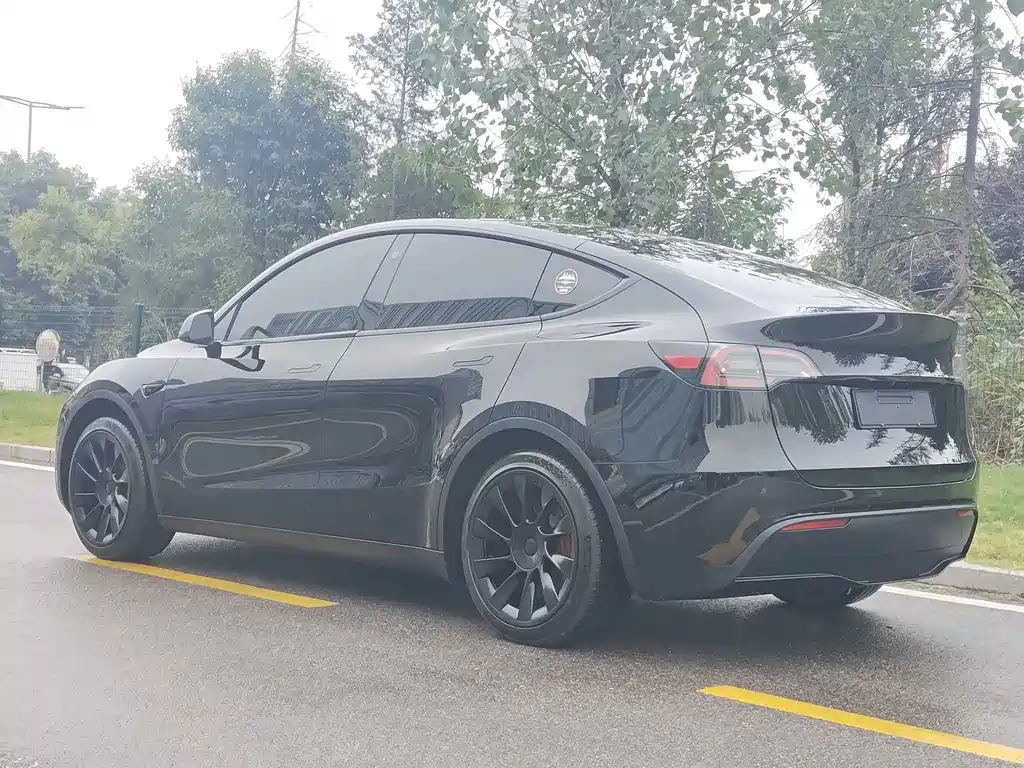Tesla Model Y — фото 13