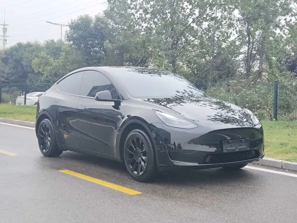 Tesla Model Y — фото 3