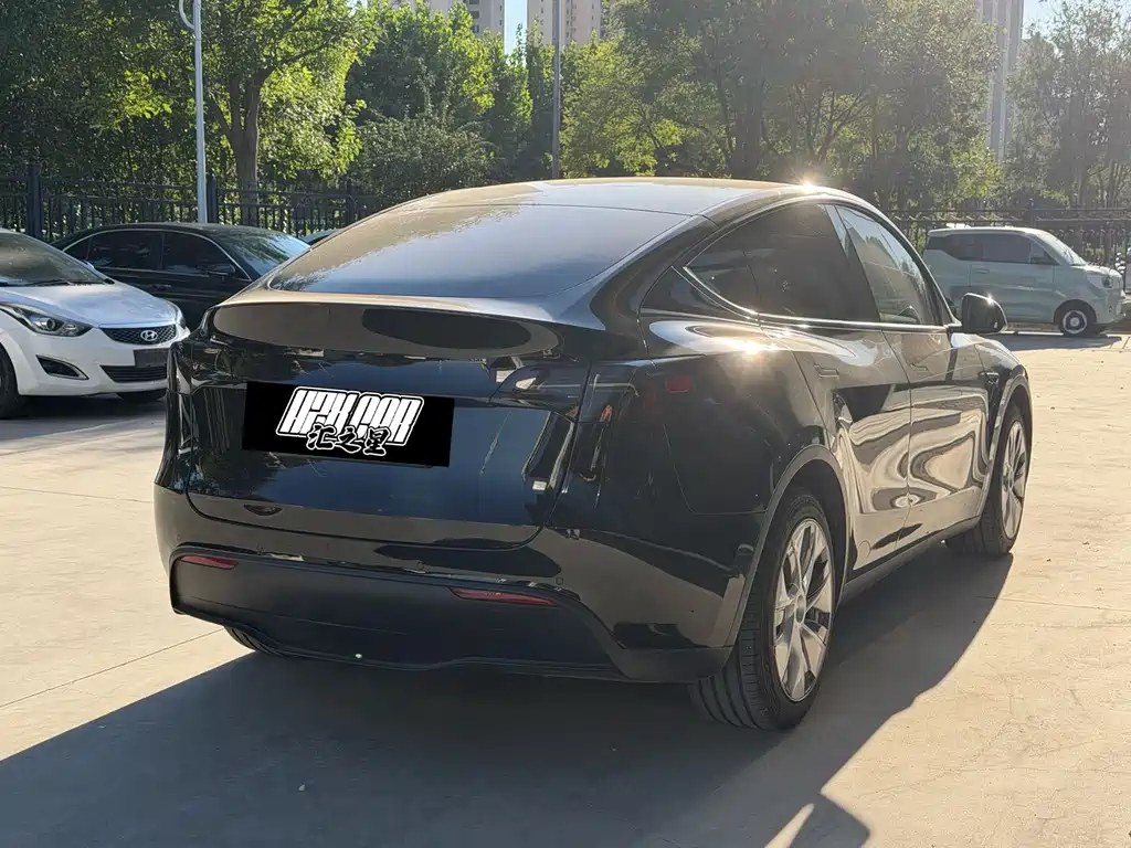 Tesla Model Y — фото 2