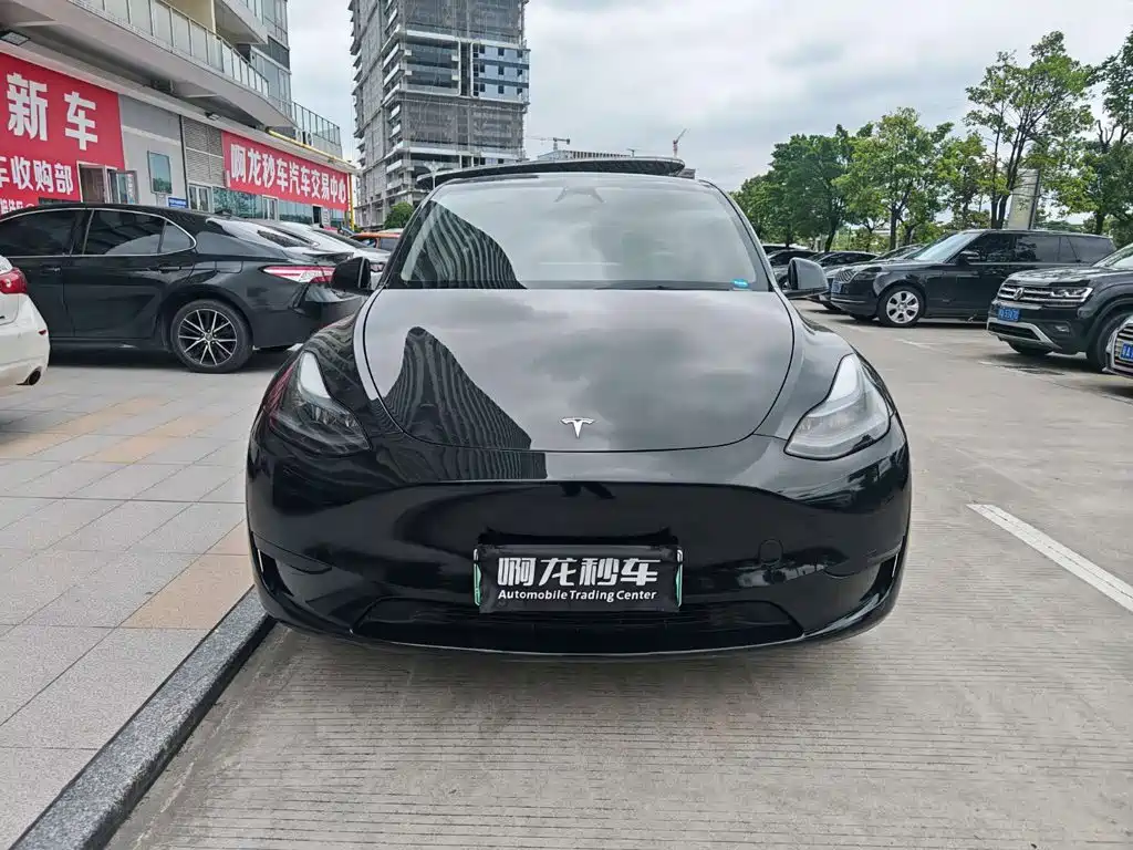 Tesla Model Y — фото 2