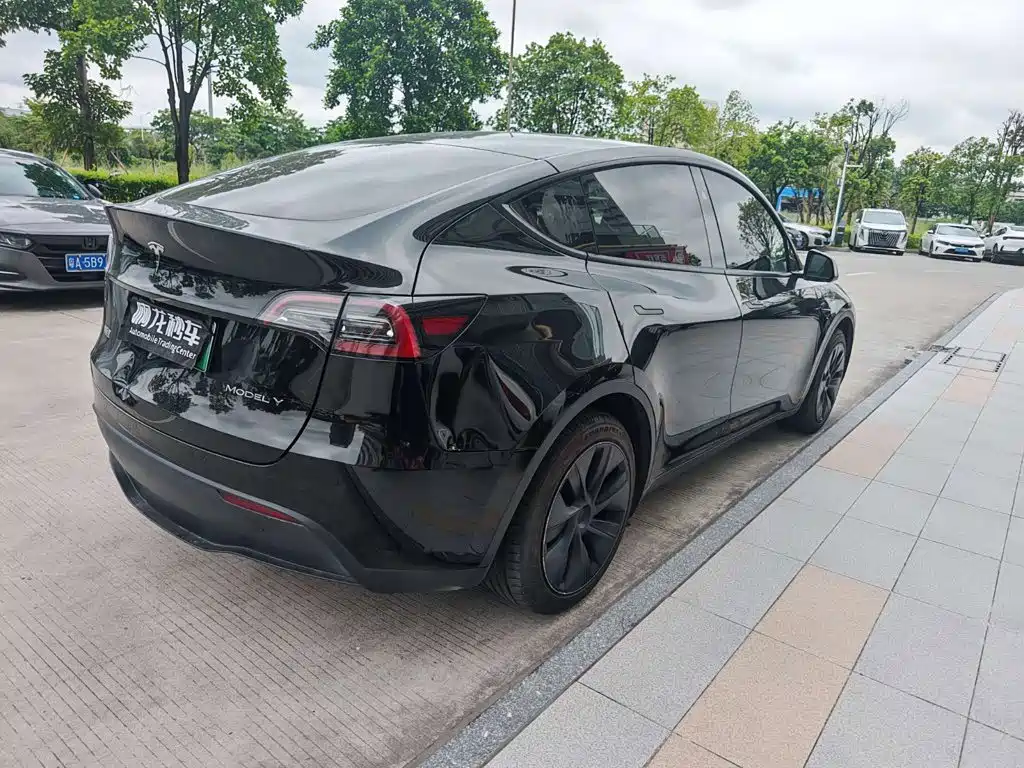 Tesla Model Y — фото 8