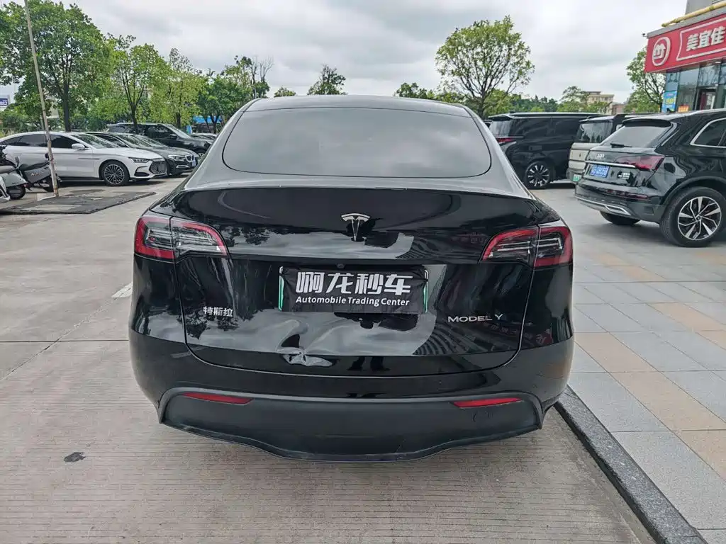 Tesla Model Y — фото 9