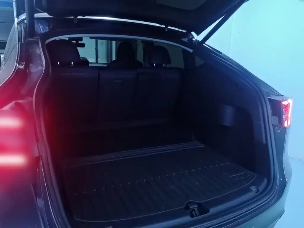 Tesla Model Y — фото 19