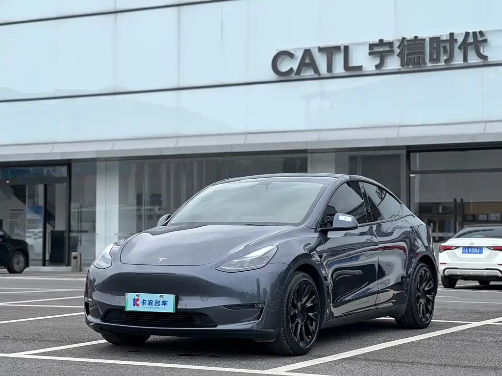 Tesla Model Y — фото 2