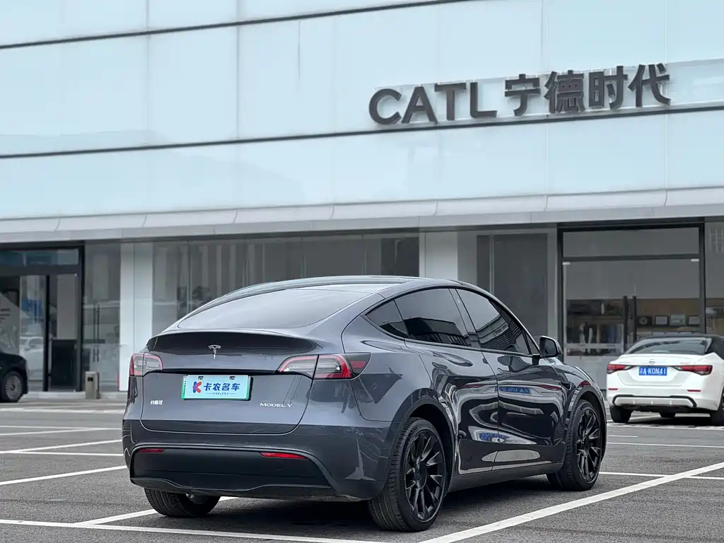 Tesla Model Y — фото 3