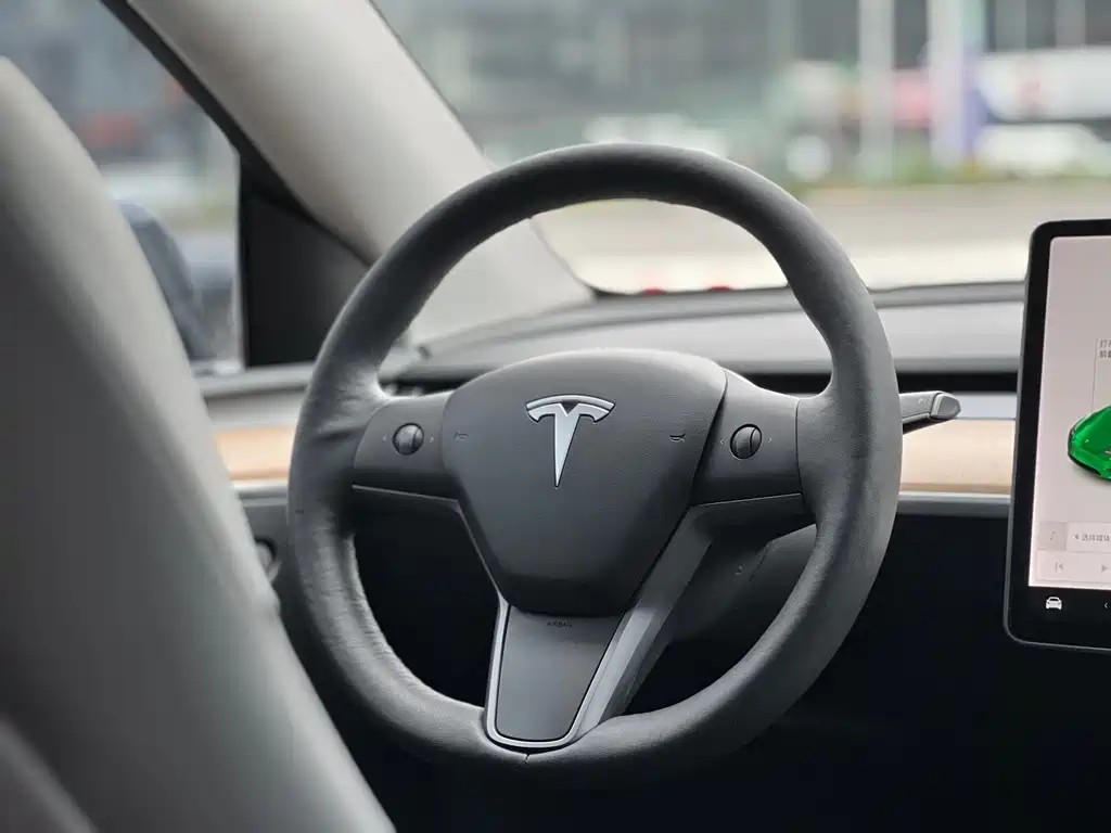 Tesla Model Y — фото 6