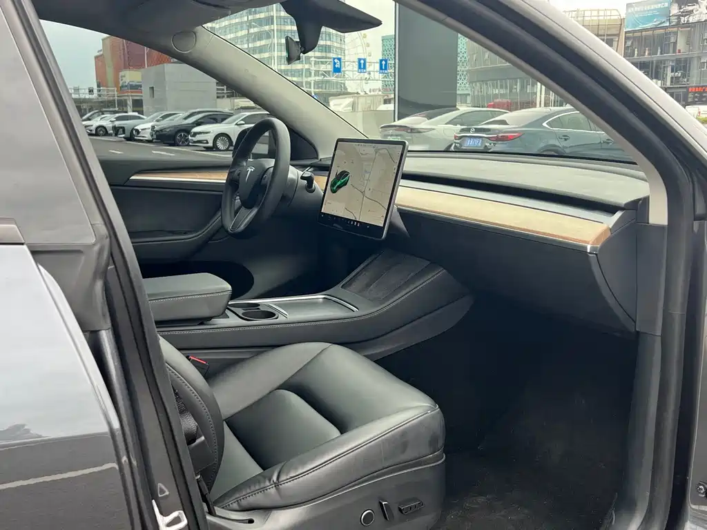 Tesla Model Y — фото 10