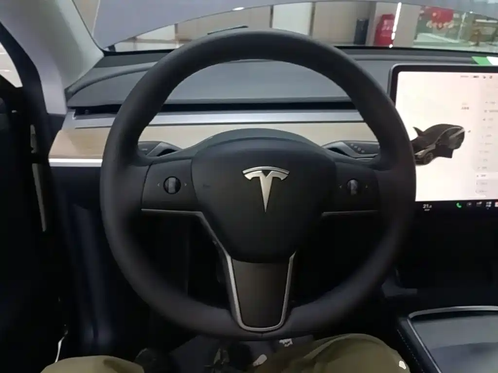 Tesla Model Y — фото 11