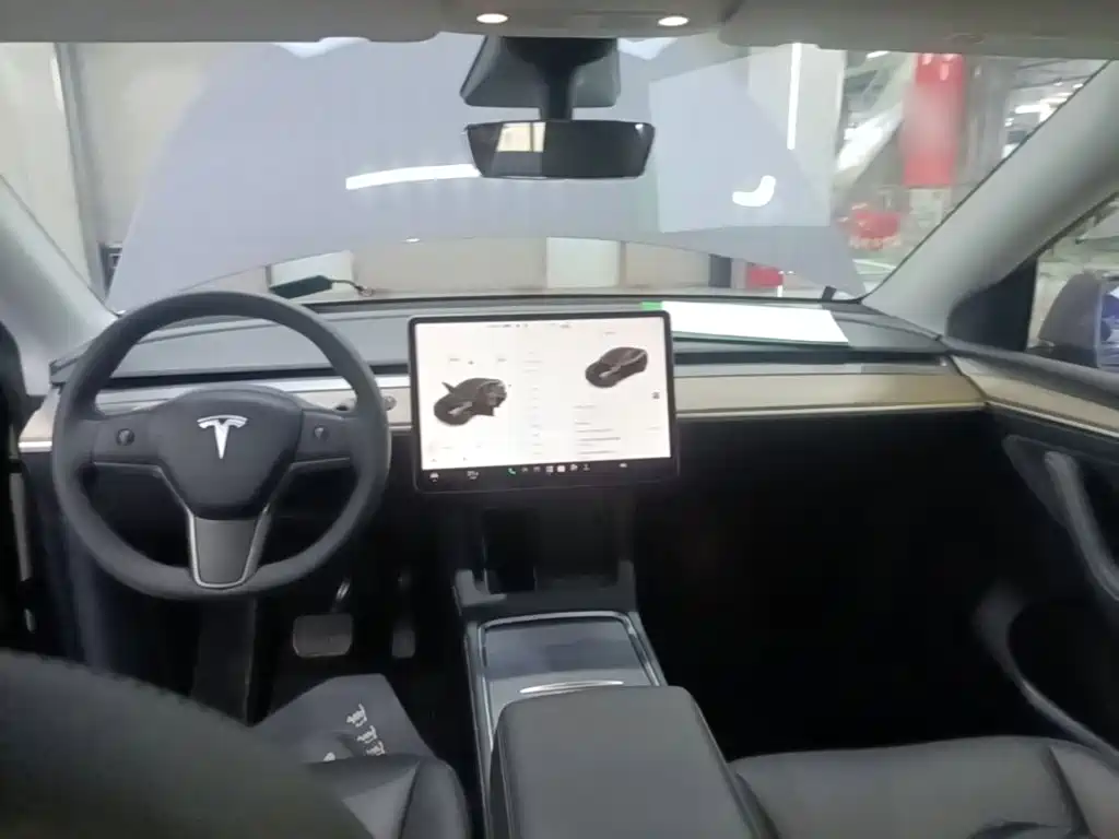Tesla Model Y — фото 18