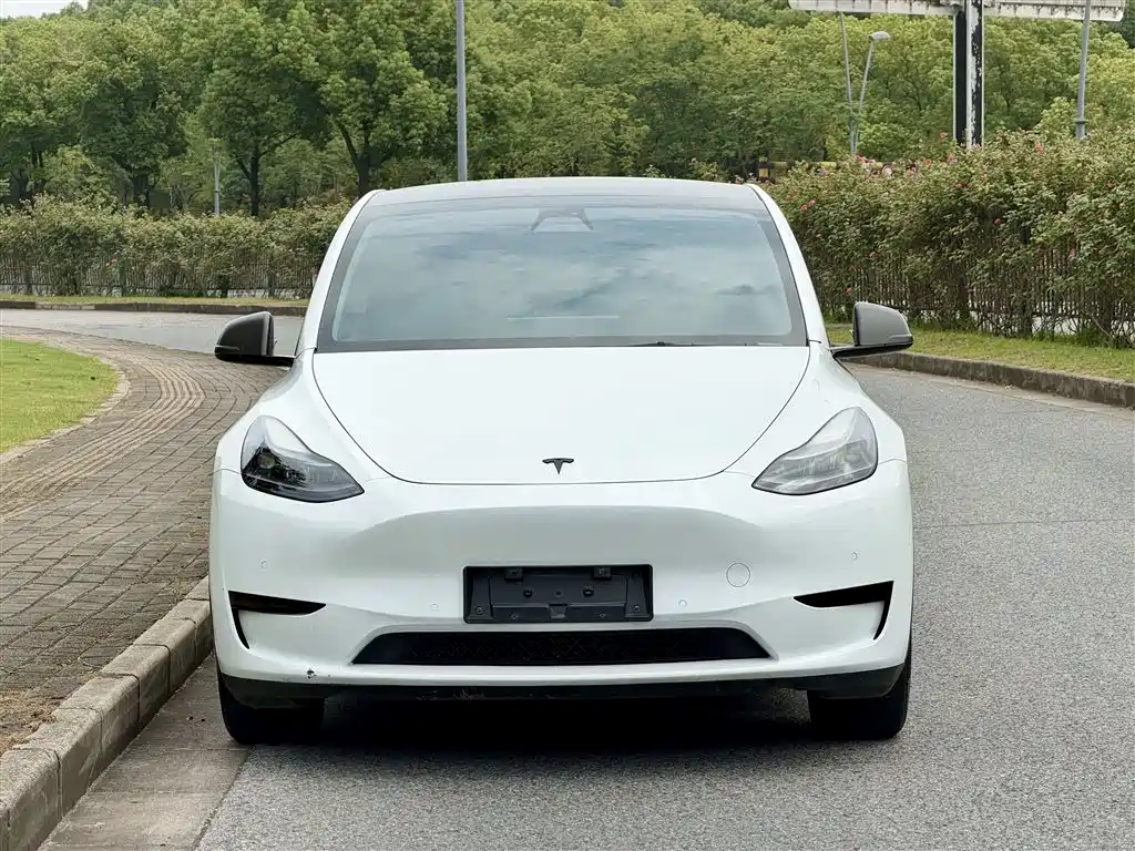 Tesla Model Y — фото 2