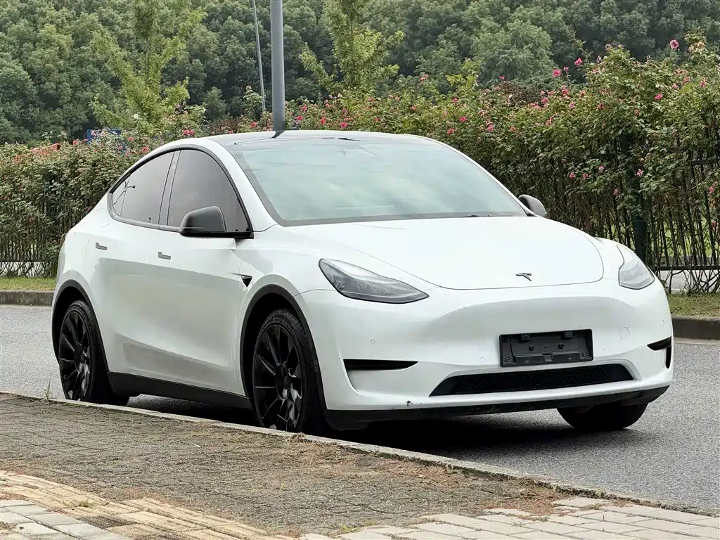 Tesla Model Y — фото 3