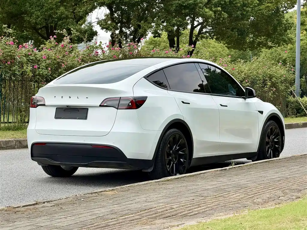 Tesla Model Y — фото 4