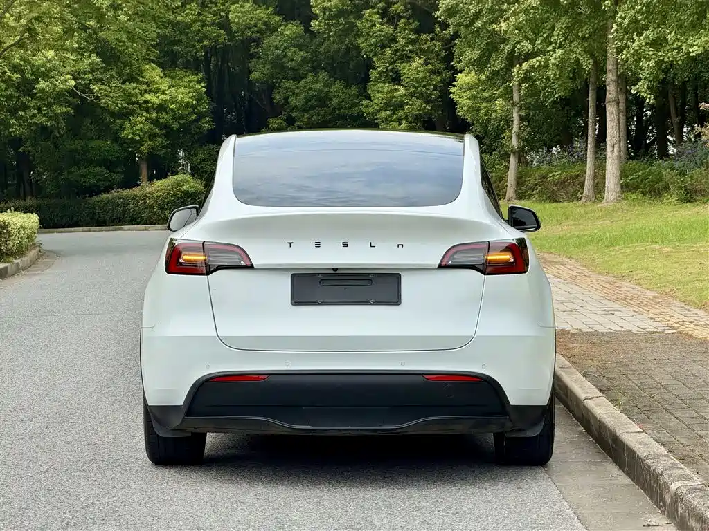 Tesla Model Y — фото 5