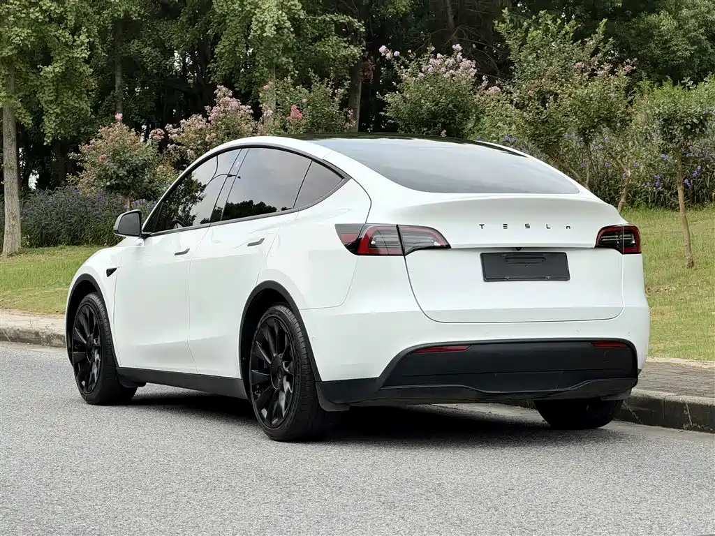 Tesla Model Y — фото 6