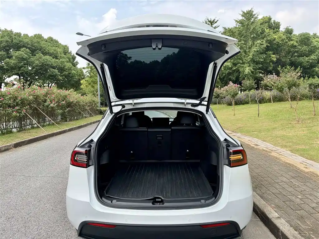 Tesla Model Y — фото 8