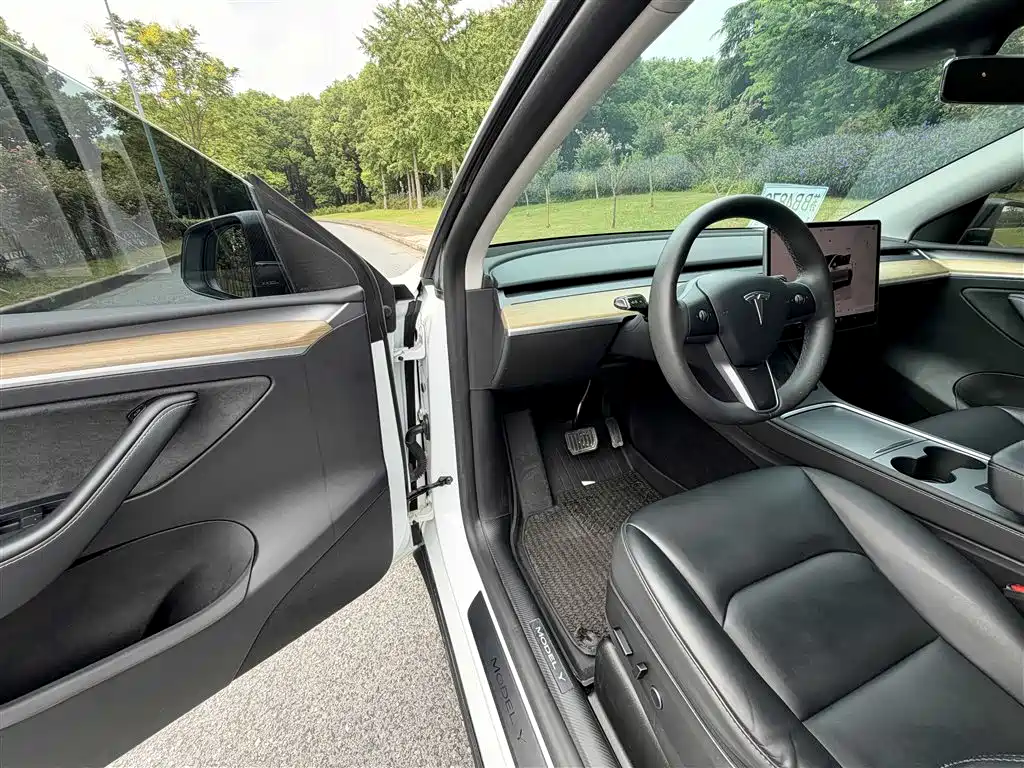 Tesla Model Y — фото 10
