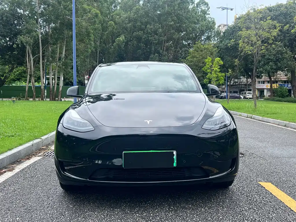 Tesla Model Y — фото 2