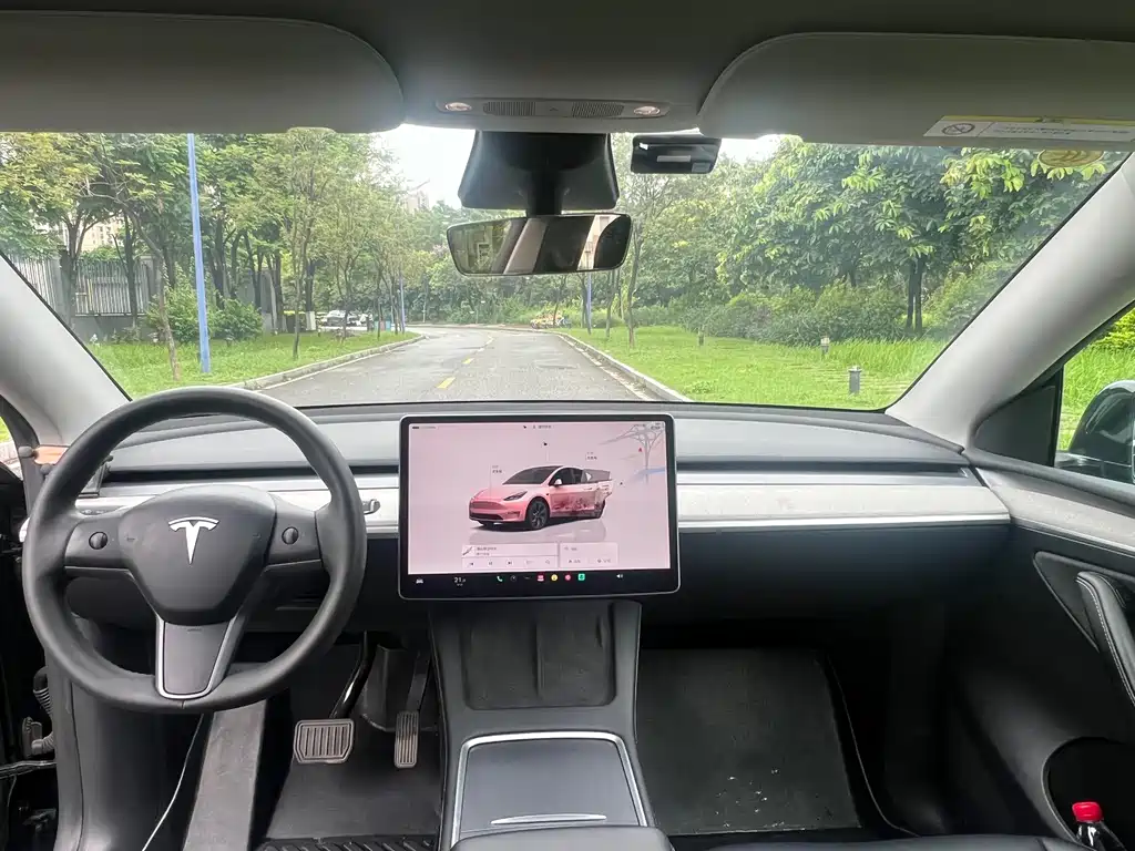 Tesla Model Y — фото 13