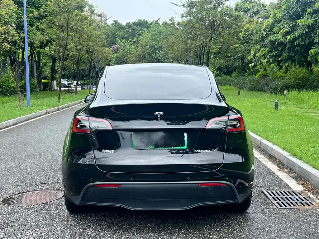 Tesla Model Y — фото 6