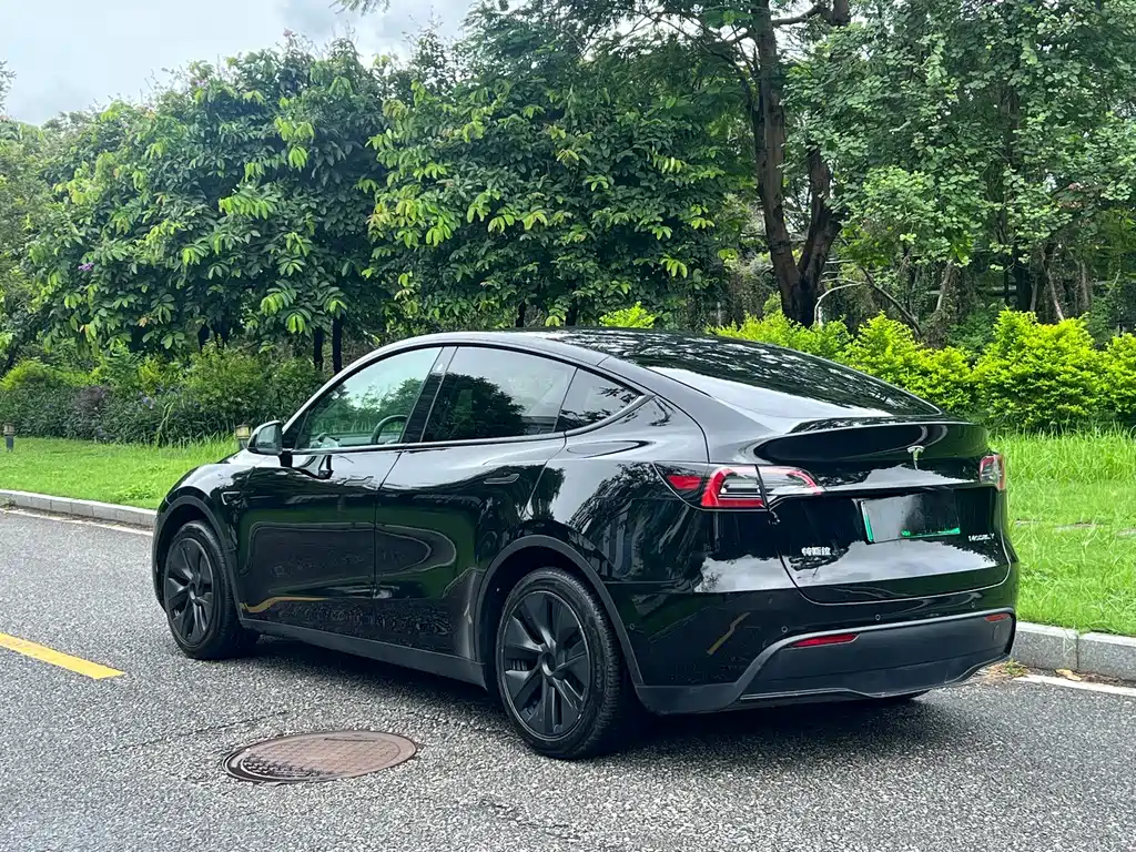 Tesla Model Y — фото 7