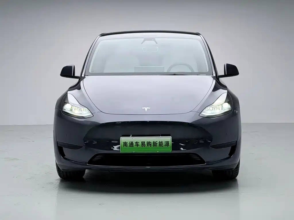 Tesla Model Y — фото 2